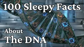 The Most Relaxing Facts About The DNA To Fall Asleep To &mdash; Science Odyssey