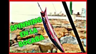 Barracudo- Spinning en la bocana (señuelos y capturas)