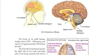 ⭕9th Std Science|CH-15 Life Processes In Living Organism|Part-6| #stateboard 