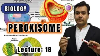 Peroxisomes class 11 || Biology || Peroxisomes structure || Peroxisomes Function || Dr Mushtaq