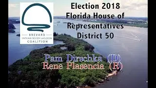 Pam Dirschka v. Rene Plascenia  Florida State House of Representatives District 50
