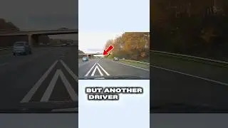 A Quick-Thinking Driver Saved A Life