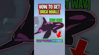 BEST WAY To CATCH ORCA in Fisch
