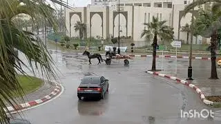 💣🏃ها المعقول وصل حقيقة ما يروج في الكواليس 😱 ناايضة والبقة حاضية ارنوبة..البتوتي والعمارة 