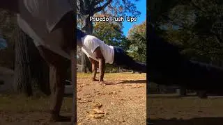 Psuedo Push Ups #calisthenics #pushupseveryday #pushups #psuedo #bodyweightworkout