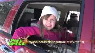 Parc Omega hiver 2013.mov