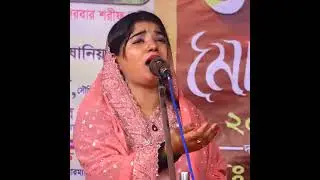 পল্লী সরকারের গান