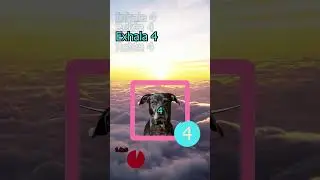 Box breathing 4-4-4-4 |