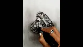 Pencil Drawing Landscape | How to Draw a Bird Sitting on Nest | Landscape Scenery for Beginners