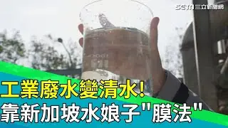 直擊工業區污水變清水！薄膜生物反應器到底是什麼？她一個人處理全台近四分之一污水，新加坡「水娘子」施展膜法救台灣｜94要賺錢