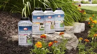 Top 5 Best Snake Repellent Review in 2023