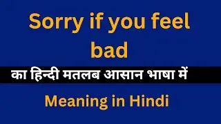 Sorry if you feel bad meaning in Hindi/Sorry if you feel bad का अर्थ या मतलब क्या होता है.