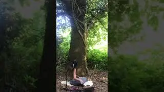 Ilse Oversier - Song of an oak tree