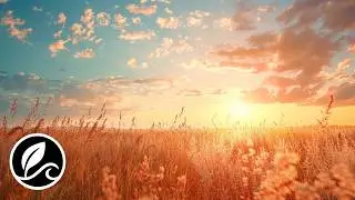 Healing Positive Energy Music for Deep Sleep 🌿 | Remove Negative Energy | Calm Mind & Body