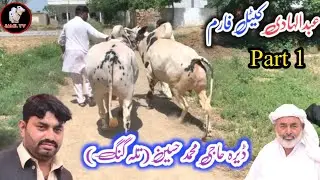 Dera Haji Muhammad Hussan Talagang ll Part 1 ll Bakra eid  ll Domail mandi ll Jamil tv ll