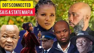 Who is Cat Matlala, how he's connected to Mamkhize? who's Brown Mokgotsi, Sibiya,Mchunu Cele howthey