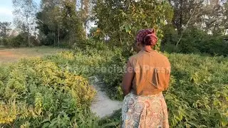 Kenyan women lost their husbands and then their land. But some are fighting back
