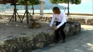 CHIHAKI 48 deer