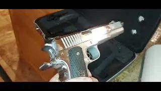 Double Barrel 45 Caliber Pistol: Prismatic