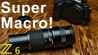 Nikon Z6 with a 100mm Pentax Macro Lens and an additional macro helicoid!