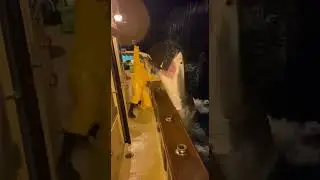Great White Shark Attacks Tuna Beside Fishing Boat (Night Chaos Caught on Phone)