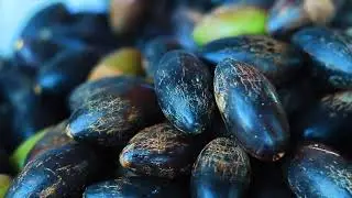 Que Rica Premium Pili Nuts: Packed At The Source