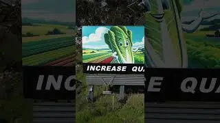 😃 Look at that happy lettuce #farming #agtech #lettuce
