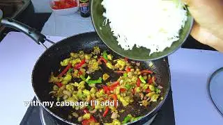 Vlogmas Day 2| Very Easy Spring Rolls Filling| Cabbage sauce for Rice