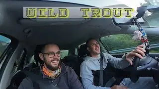 Wild Trout/fishing river sea/spin trout