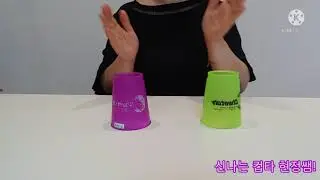 [컵타]