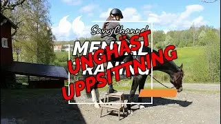 Unghäst träning  - Uppsittning Del 1