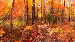 Atlanta ORV  ATV Trails With 