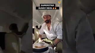 Sunny Deol flying private 🛩️🔥 #shorts #aviation #viral #SunnyDeol
