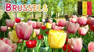 BEAUTIFUL TULIPS GARDEN AT FLORALIA BRUSSELS // BELGIUM // ELLA'SLIFE