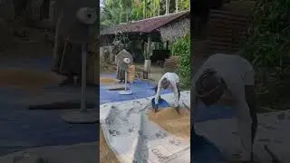 Village life🥰true love 🥰working together 😍salute to mom dad😘