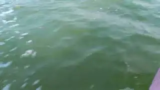 Super amazing boat ride at Keenjhar Jheel , Thatta, Sindh, Pakistan