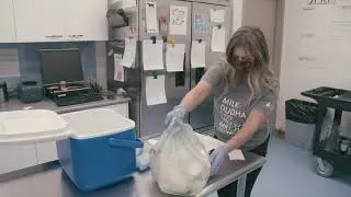 Learn how to pack your milk for donation