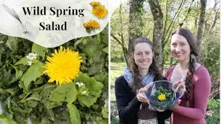 🌿Wild Spring Salad🌼