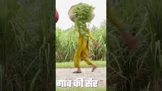 Mera gaon Mera Desh #shorts