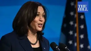 VP Kamala Harris announces $250M grant program to boost 'health literacy'