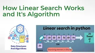 How Linear Search Works with Examples and Algorithm