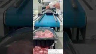 Meat packing line  #Meat processing  #Belt conveyor  #Automation equipment #Factory equipment