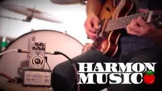 MXR ZW38 Black Label Chorus Demo - Harmon Music - HIGH DEFINITION