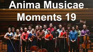 Anima Musicae Moments 19: Benjamin Britten: Variations on a Theme of Frank Bridge - Fugue and Finale