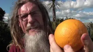 Color of citrus: Updated