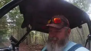 Food Plot in a Drought Update