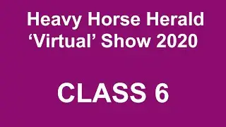 HHH VIRTUAL SHOW CLASS 6