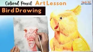 Easy Colored Pencil Bird Drawing | High School Art Project Idea
