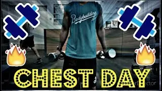 Modern Physique #2: CHEST DAY! + New workout plan?/ BULKING SEASON?/Sponsored/BLOOPERS?