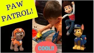 PAW PATROL LAUNCH N ROLL TRACK SET CIRCUIT REVIEW - GAVINS TOY REVIEWS